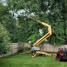 How Our Tree Care Process Works  in  Highland Falls, NY